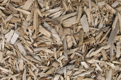 biomass boilers Hirael